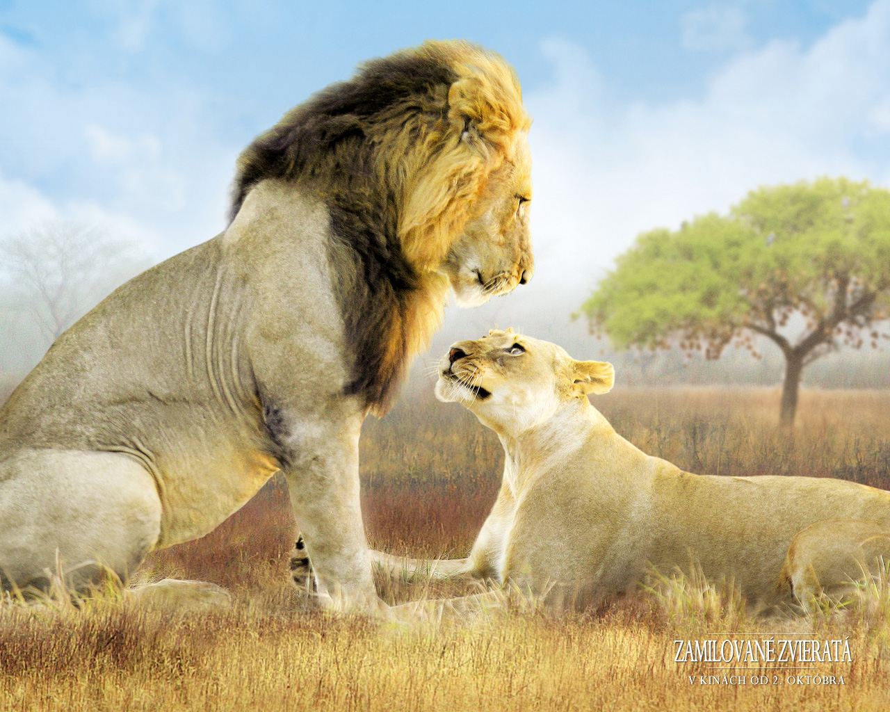 wall_ANIMALSINLOVE_1280x1024_03.jpg